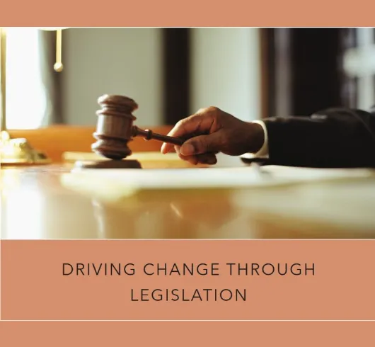 Policy Advocacy & Road Law Reform | नीति सुधार और सड़क कानून में बदलाव